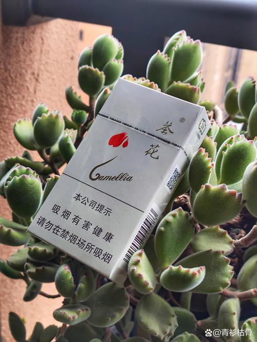 正品茶花香烟批发，品质生活从每一口开始