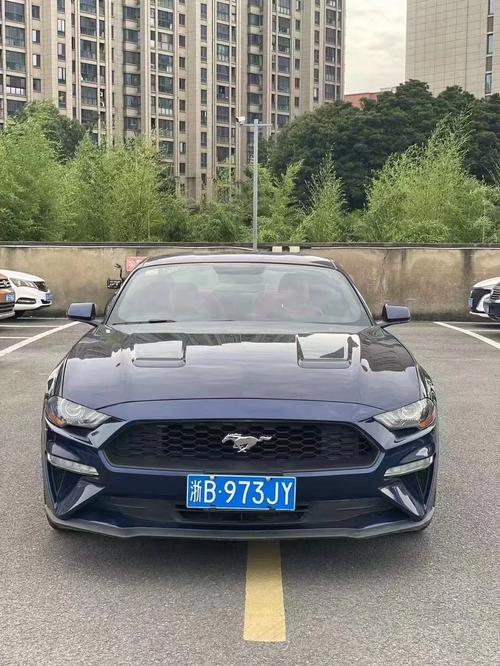低价盛宴，揭秘便宜野马香烟批发市场的魅力所在